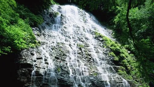 高标准环保